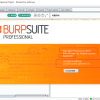burpsuite pro cost