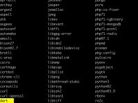 Error when reading ‘pub’: No such file or directory解决