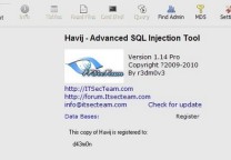 Havij1.14专业版
