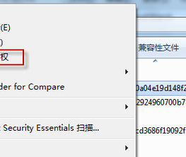 需要来自system的权限