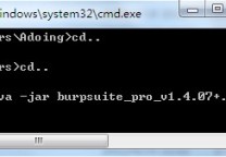 burpsuite pro v1.4.07破解版