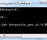 burpsuite pro v1.4.07破解版