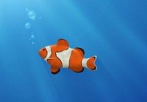 只有死掉的鱼才会随波逐流