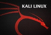 Kali2.0正式发布,Kali2.0下载