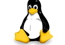 精确报告Linux内存使用情况实用脚本:ps_mem