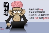要嫁就嫁程序猿,钱多话少死的早
