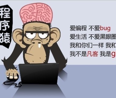 要嫁就嫁程序猿,钱多话少死的早