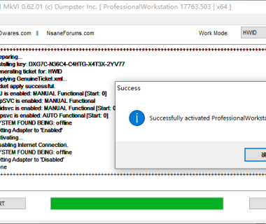 Hwidgen 62.01原版 – Windows 10数字许可证永久激活工具