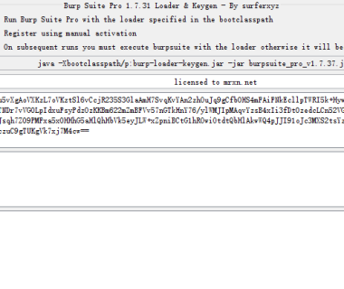 BurpSuite Pro v1.7.37 破解版