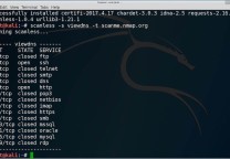 scanless:一款匿名端口扫描工具