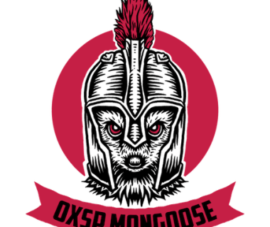 0xsp Mongoose:权限提升枚举工具包,使用Web API快速智能枚举