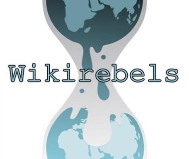 维基解密的抗争