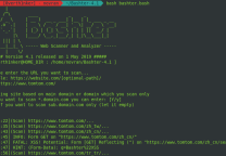 Bashter:一个WEB爬虫扫描器分析框架