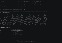 Rustbuster:强大的模糊测试(Fuzzer)和信息枚举发现工具