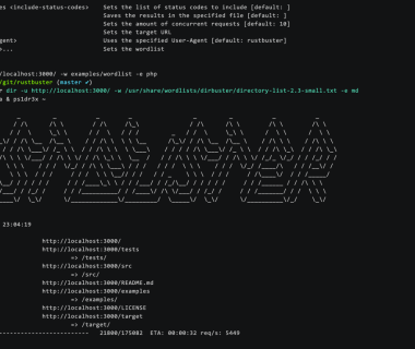 Rustbuster:强大的模糊测试(Fuzzer)和信息枚举发现工具