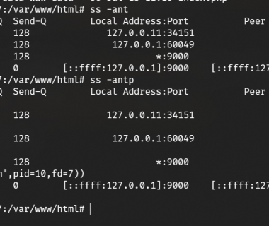 蚁剑AntSword命令执行增强:Bypass Disable Functions