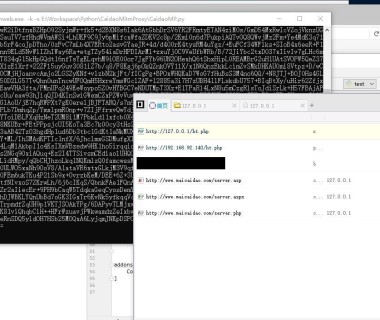 CaidaoMitmProxy:基于HTTP代理中转菜刀过WAF