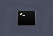 zsh:no matches found兼容解决
