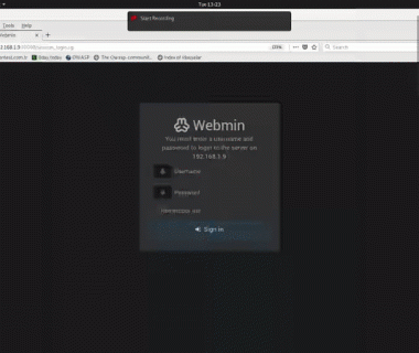 Webmin 小于等于 1.910 – ‘Package Updates’ RCE
