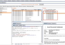 BurpSuite扩展 – 网络资产发现/BurpSuite Asset Discover