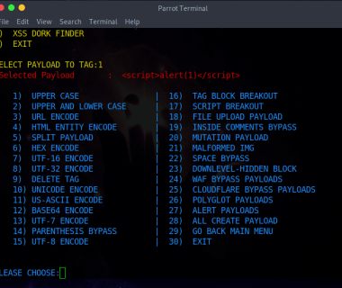 XSS Payload生成器/XSS扫描器/XSS Dork挖掘:XSS-LOADER
