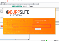 BurpSuite_Pro v2020.4 Loader_Keygen