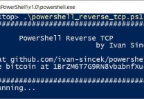 用于连接到远程主机的PowerShell脚本:PowerShell Reverse TCP