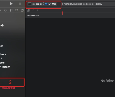 Error launching app. Try launching from within Xcode via解决