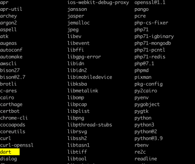 Error when reading ‘pub’: No such file or directory解决
