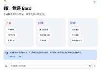 如何使用 Google 的 Gemini