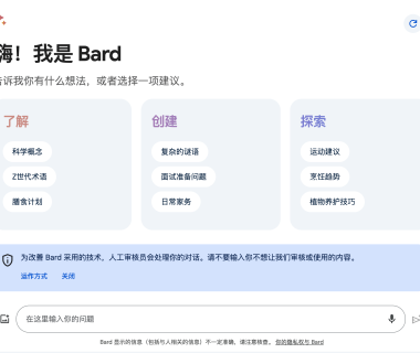 如何使用 Google 的 Gemini