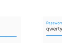 如何显示或隐藏在 Flutter 中输入的密码
