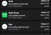 如何知道移动应用程序是否是使用 Flutter 制作的?