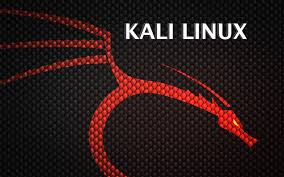 Kali2.0正式发布，Kali2.0下载